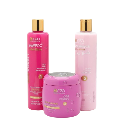 Kit Post Tratamiento Frutos Rojos Ginza Professional